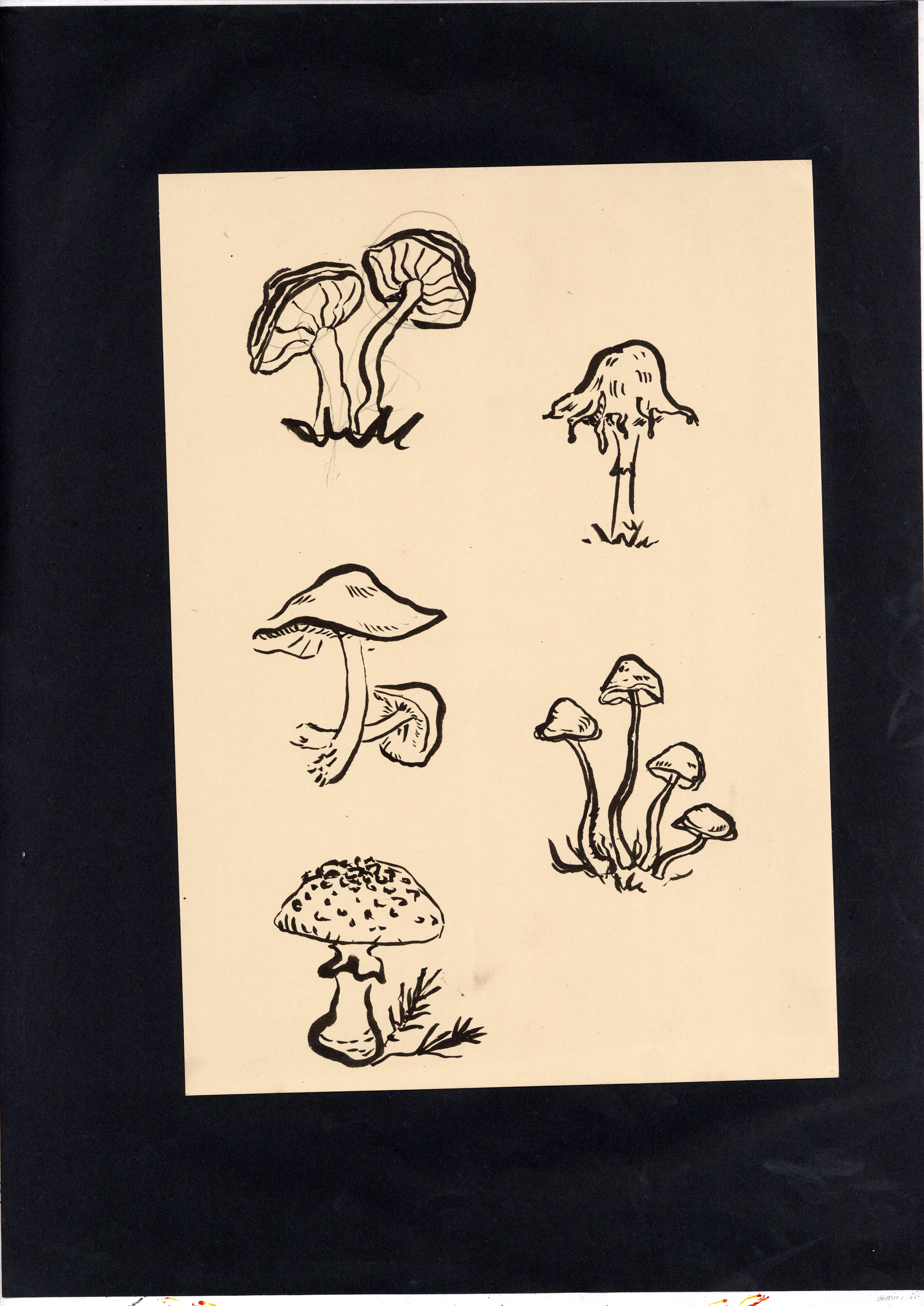portfolio0015