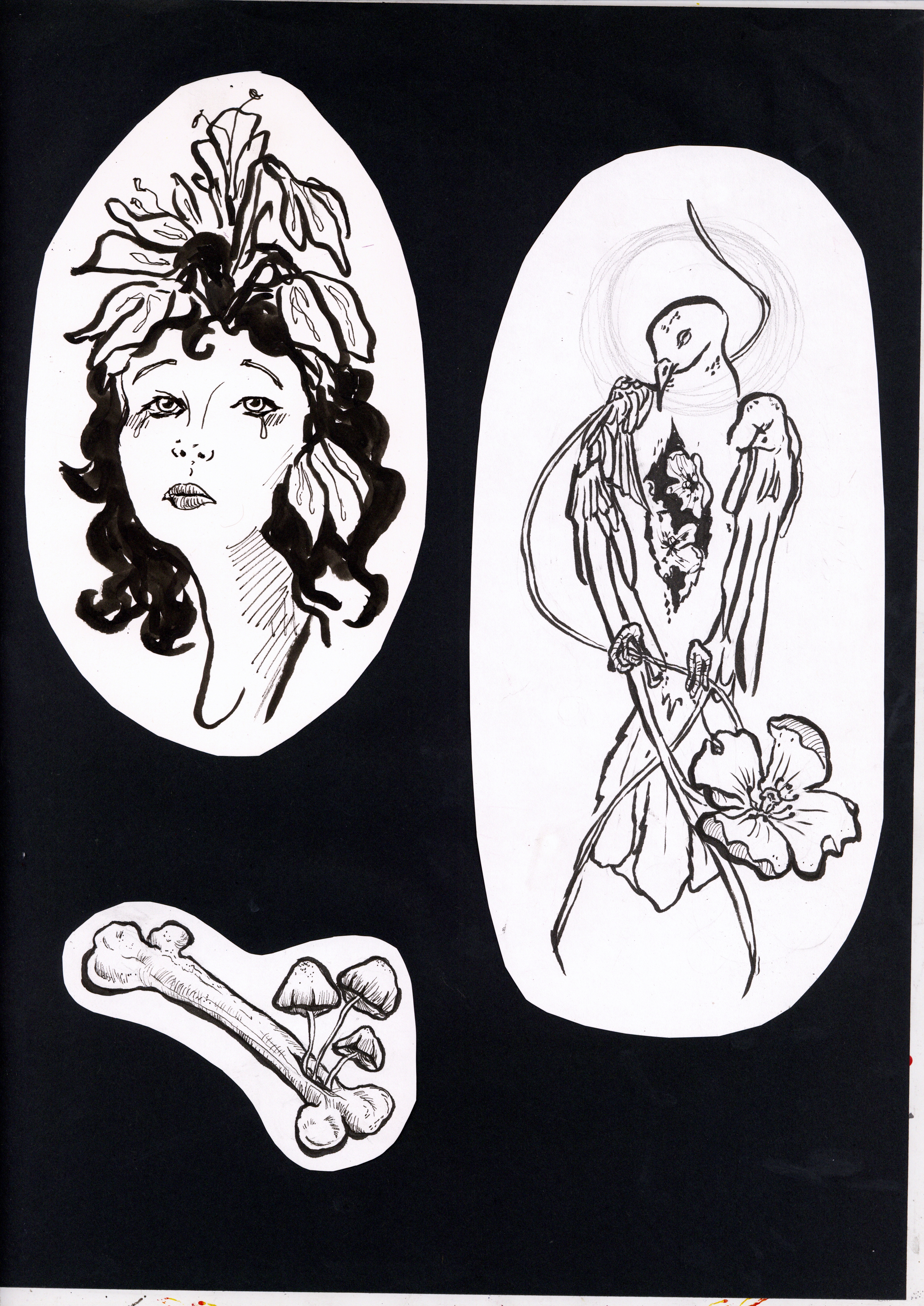 portfolio0022