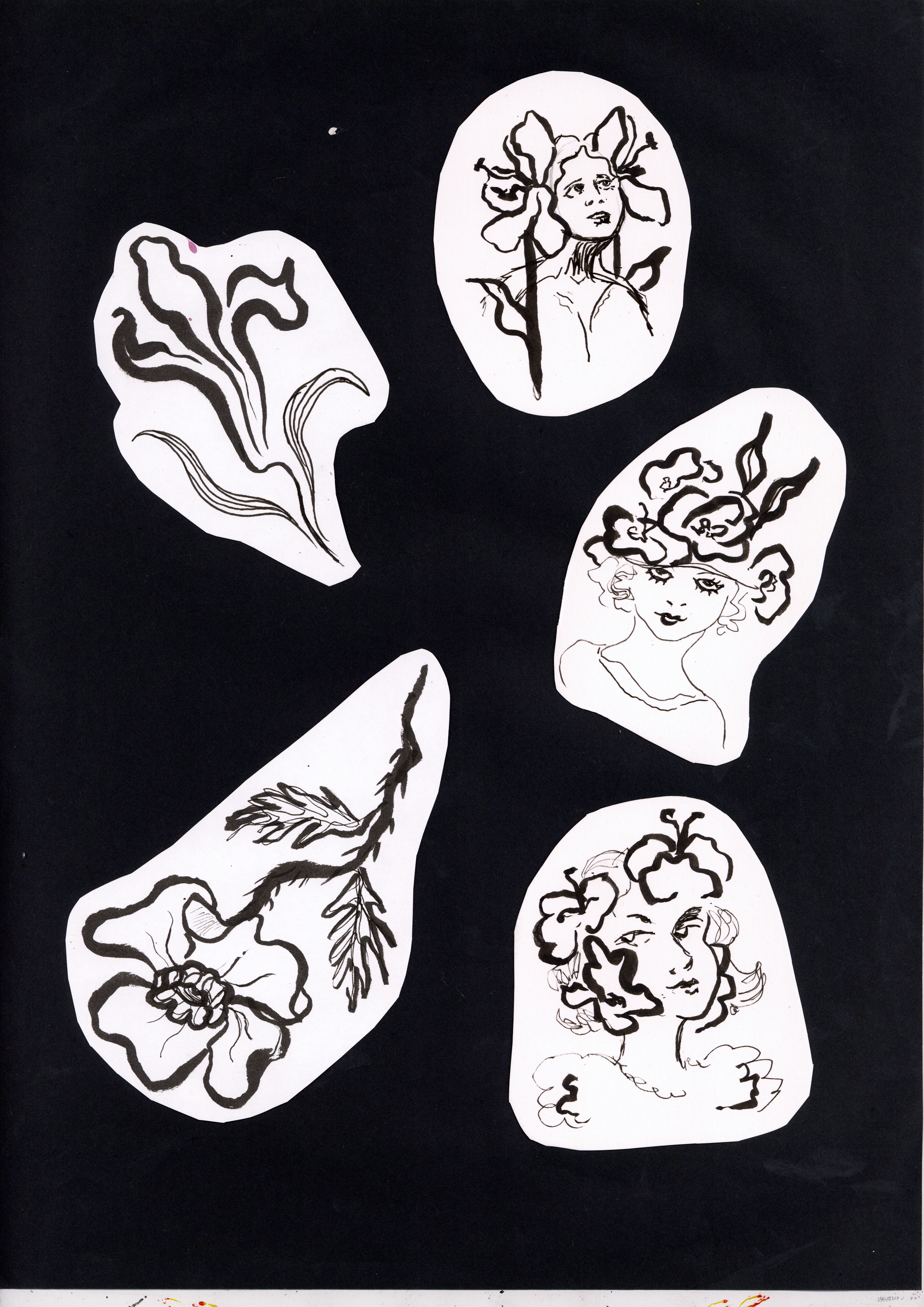 portfolio0026