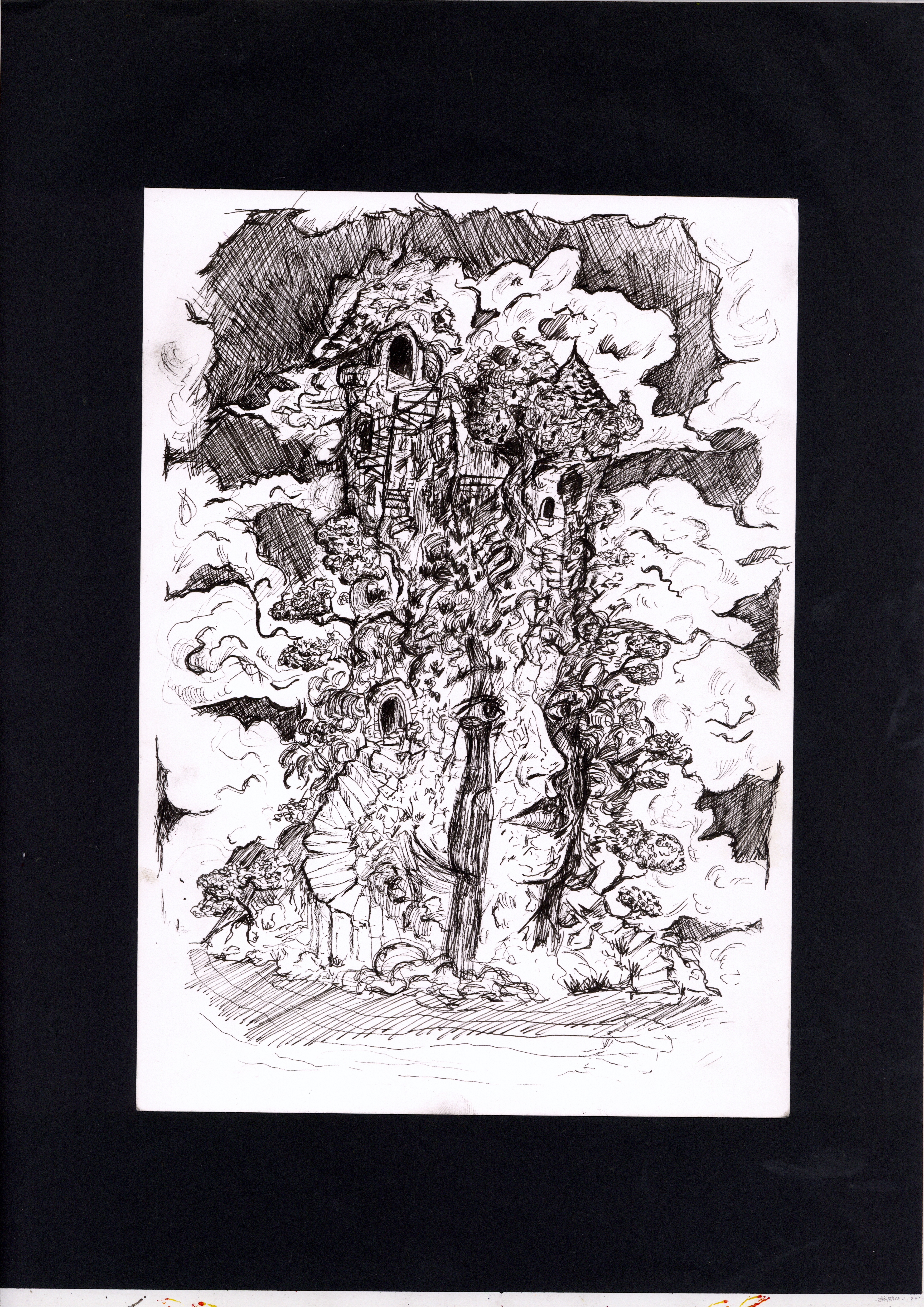 portfolio0031
