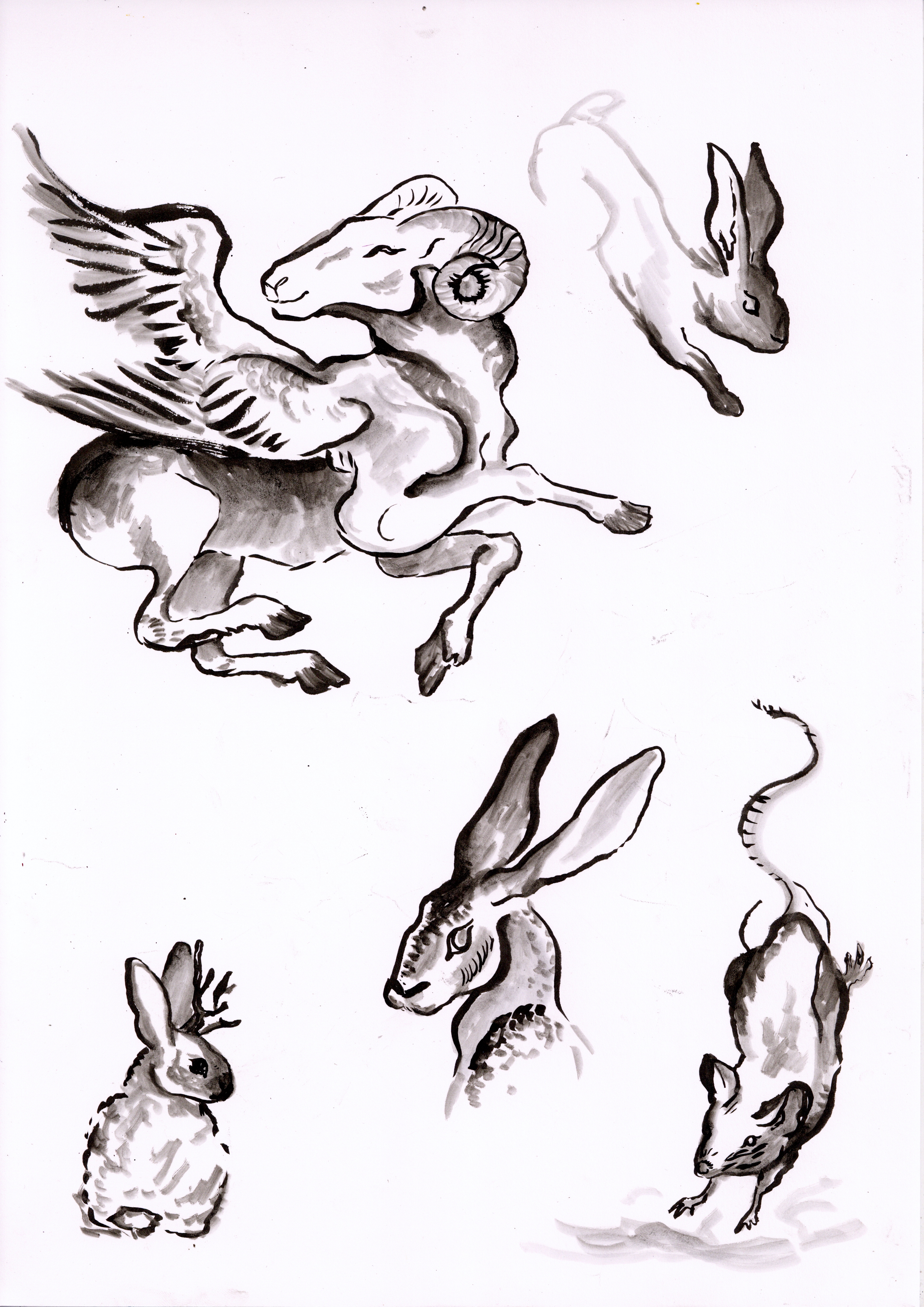 portfolio0035