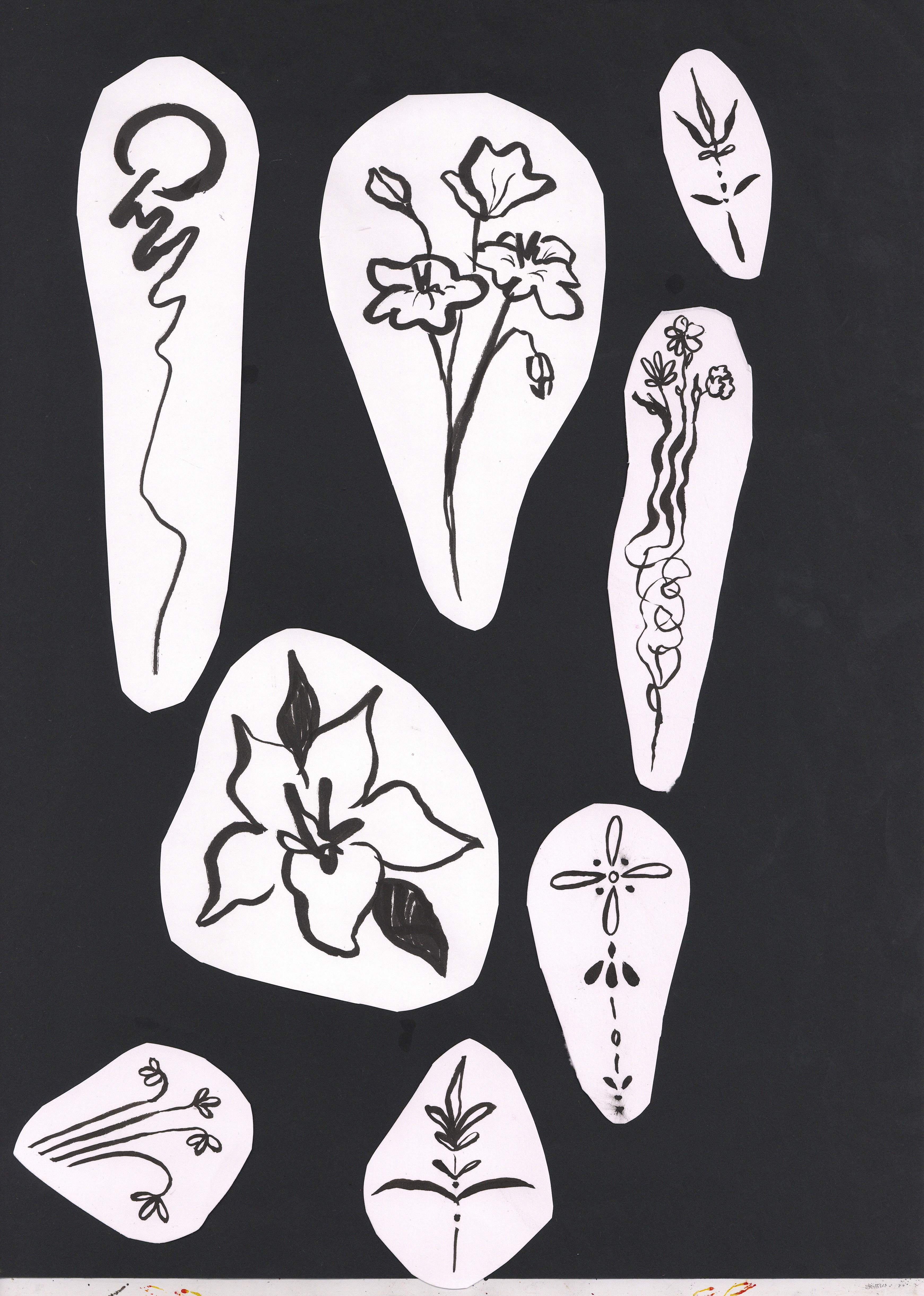 scan0006
