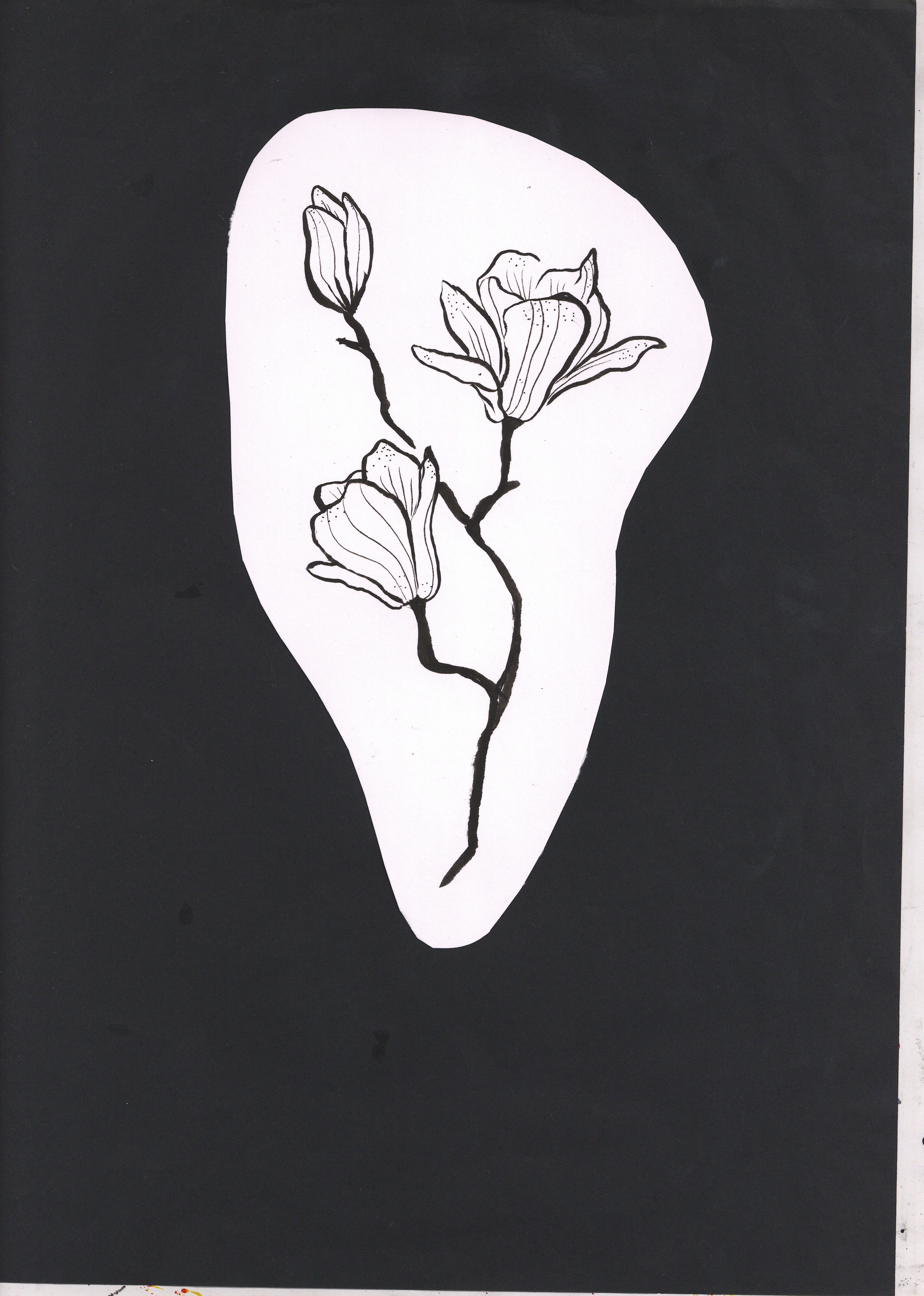scan0015